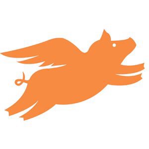 Profile picture for wangbailin
