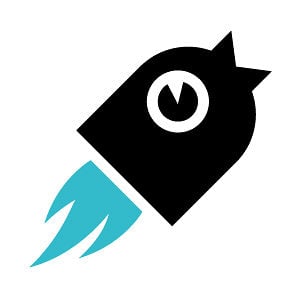 Profile picture for superbirds