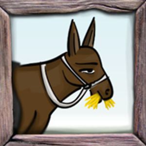 Profile picture for Ruben Filipe