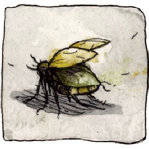 Profile picture for farel dalrymple
