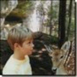 Profile picture for Christopher Ludlow