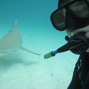 Profile picture for Sharkman.Ed