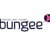 Bungee Virtual Lost and Found