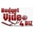 BudgetVideo4BIZ
