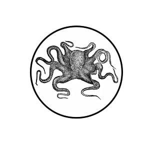 Profile picture for Nicholas Damen