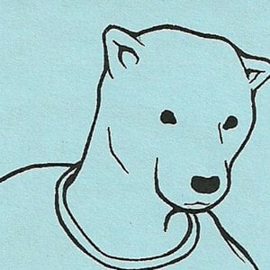 Profile picture for Aqua Bear