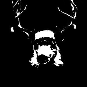 Profile picture for Kevin Gautraud
