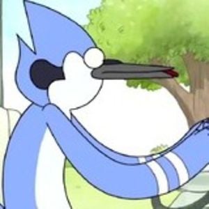 Profile picture for Mordecai 2012