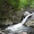 Carolina Fly Fishing