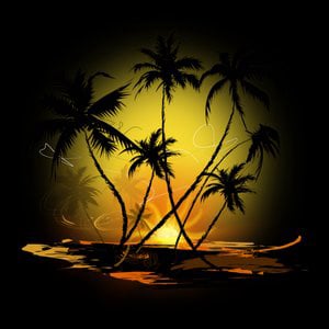 Profile picture for TradeWind Productions