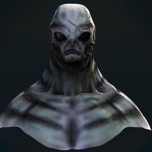 Profile picture for Dos Santos Nelson