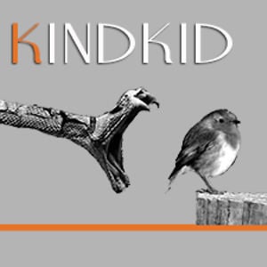 Profile picture for Joe Kinder