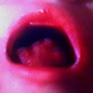 Profile picture for ghst