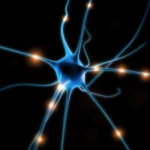 Profile picture for The Neuropsychotherapist