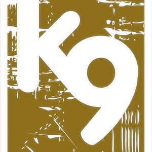 Profile picture for K9 Studios