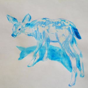 Profile picture for rakka deer
