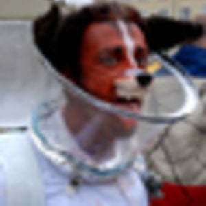 Profile picture for Gilles Coirier