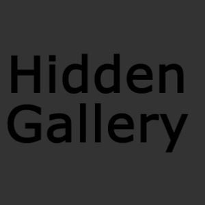 Profile picture for Hidden Gallery