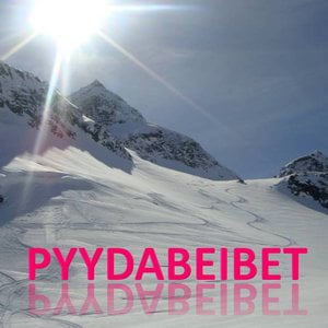 Profile picture for Pyydabeibet