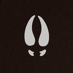 Profile picture for mathieu Le Proux