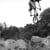 Trailfever