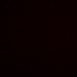 Profile picture for estudio.teddy.cruz