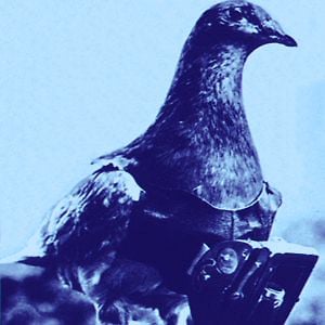 Profile picture for Alvaro