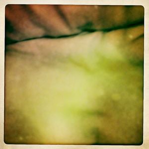 Profile picture for suncloudsrainefilm