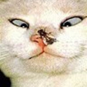 Profile picture for tudanco