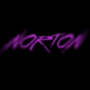Profile picture for NORTON director