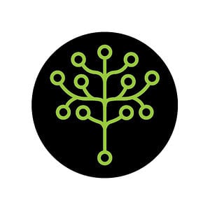 Profile picture for Bizdom Detroit