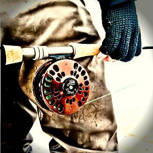 Profile picture for Drip Drop Dry