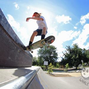 Profile picture for Dylan Warren