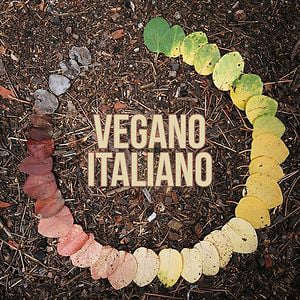 Profile picture for vegano italiano