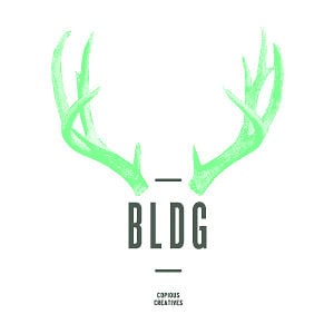 Profile picture for BLDG
