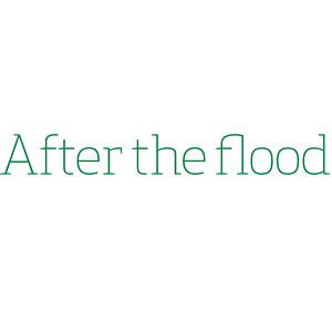 Profile picture for After the Flood