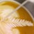 Boréal Coffee Roasters