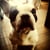 inoco