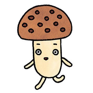 Profile picture for Bongokong
