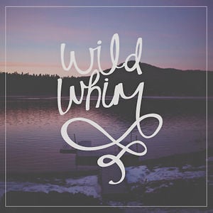 Profile picture for wildwhim