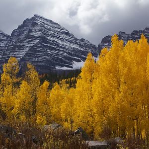 Profile picture for State of the Rockies Project
