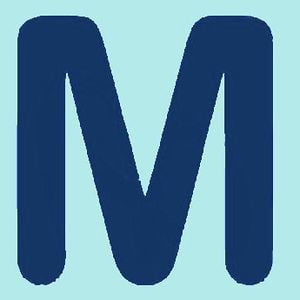 Profile picture for Bozidar Martincic