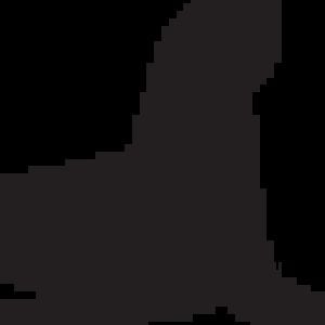 Profile picture for Black Seal