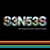 S3N53S