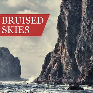 Profile picture for Bruised Skies