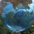 A Bid to Save the Earth