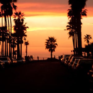 Profile picture for Westerly CDM
