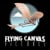 Flying Canvas Pictures