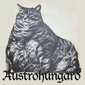 Profile picture for Austrohúngaro