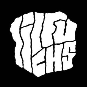 Profile picture for lilfuchs